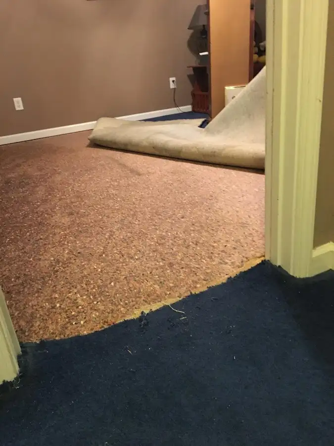 Carpet pad removal revealing water damage during Water Mitigation Services in Bellevue