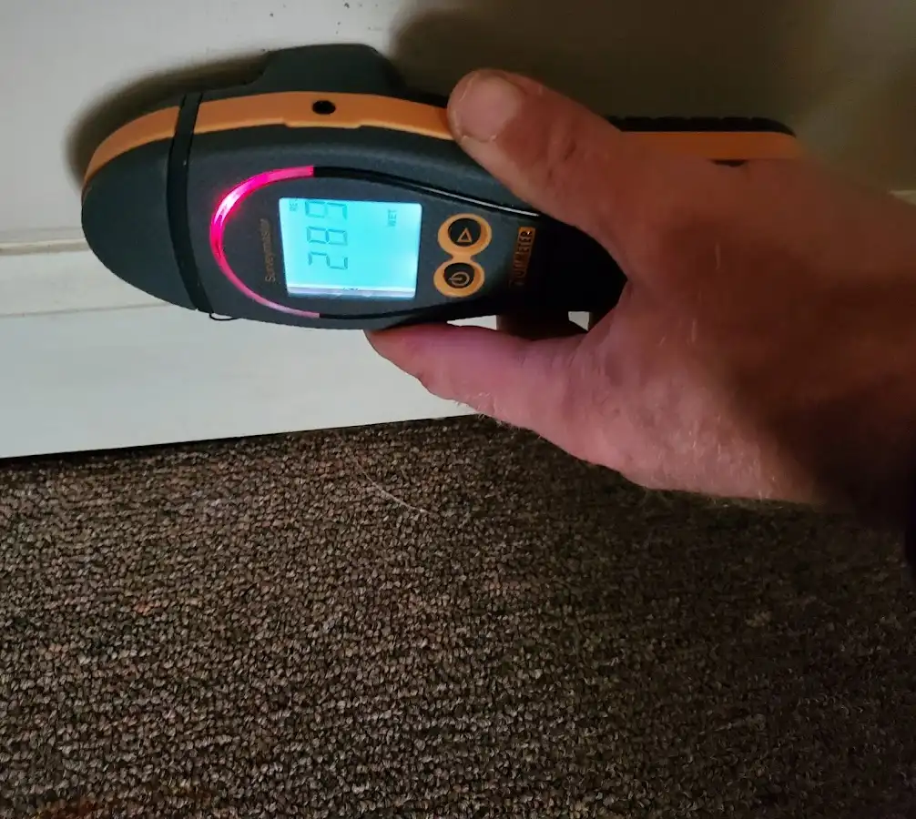 Moisture detection at baseboard during Sewage Cleanup & Sanitation in Bellevue
