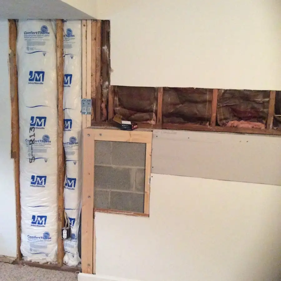 Wall insulation replacement during Basement Flood Cleanup in Bellevue